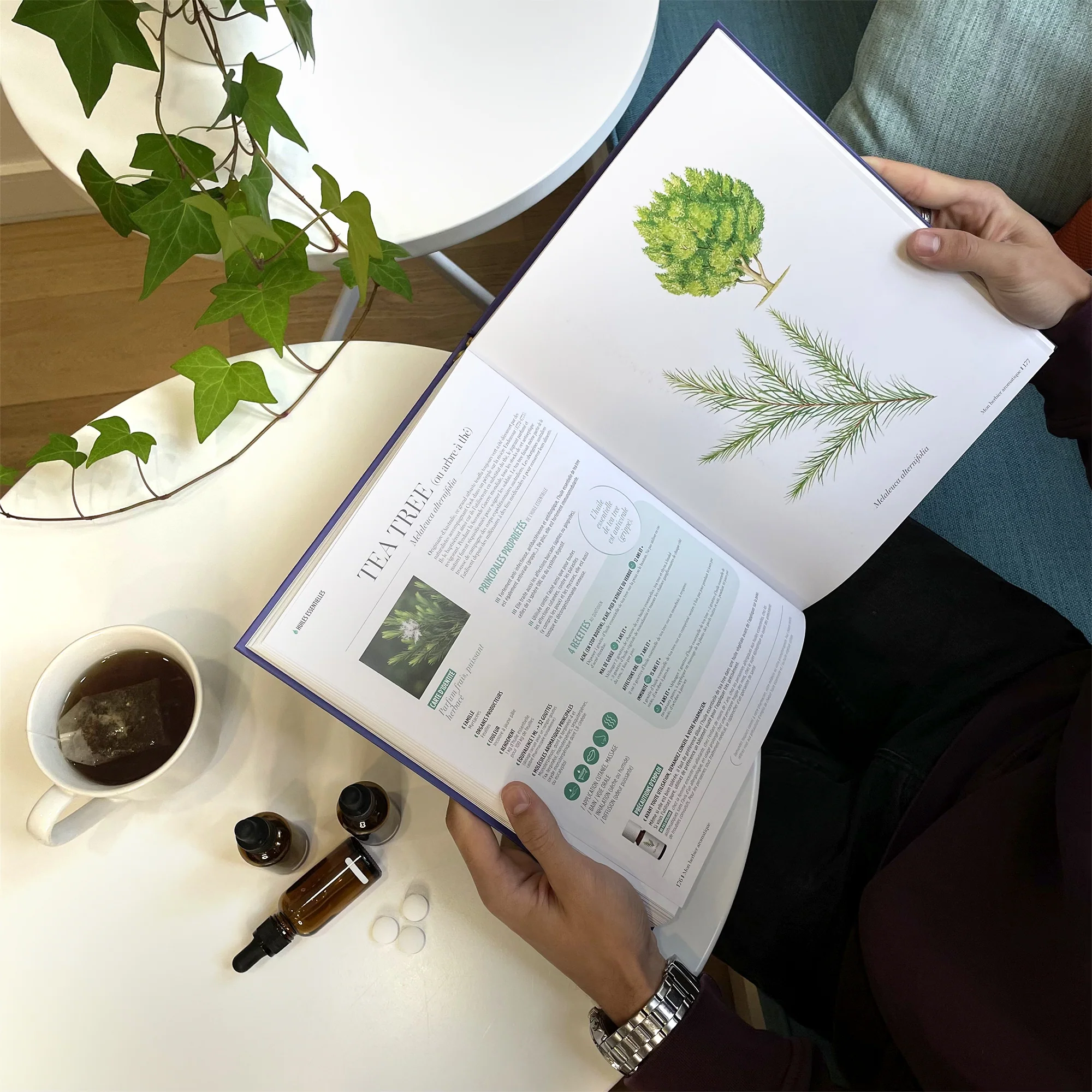Aromathérapia, le livre des huiles essentielles - Image 6