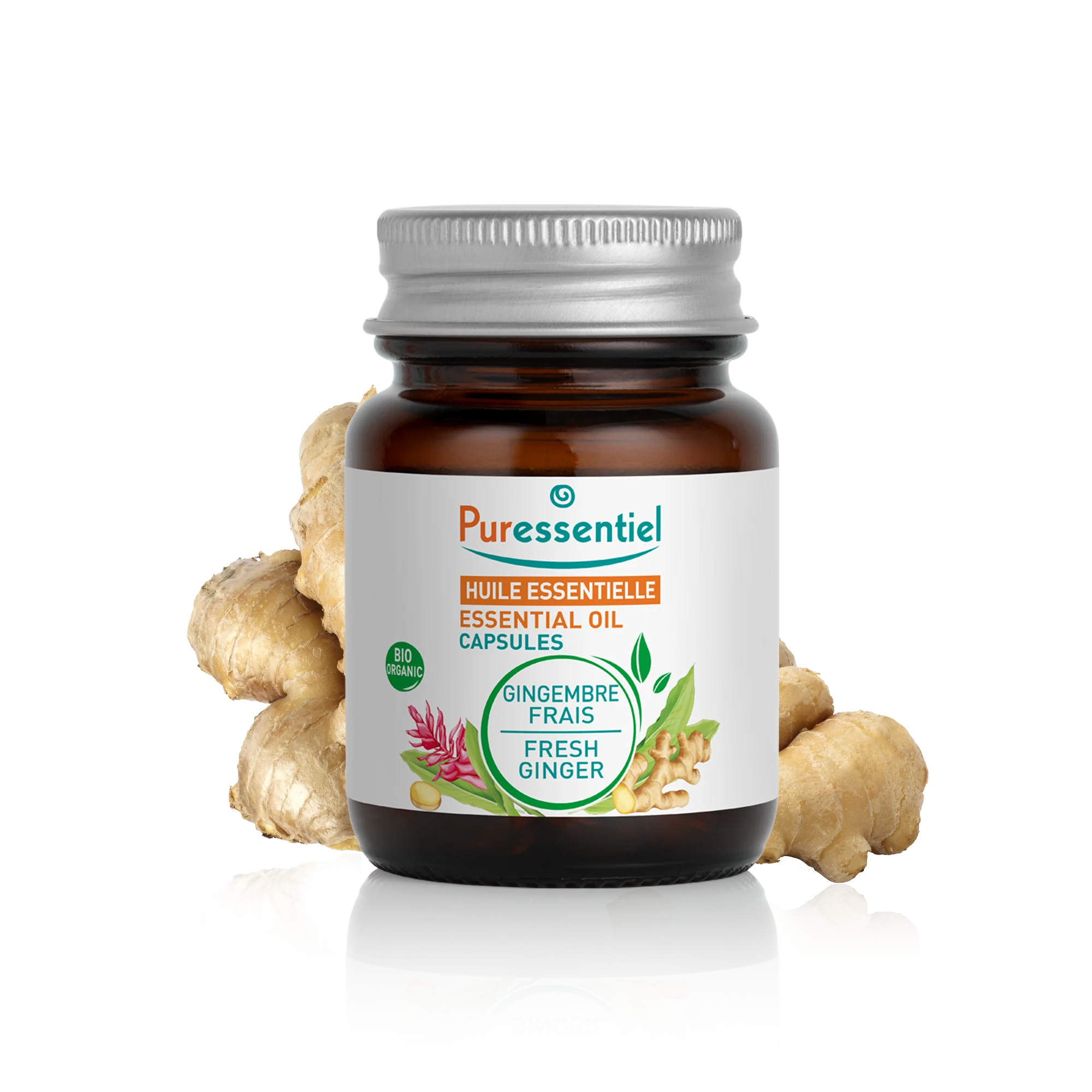 Capsules de Gingembre Frais BIO