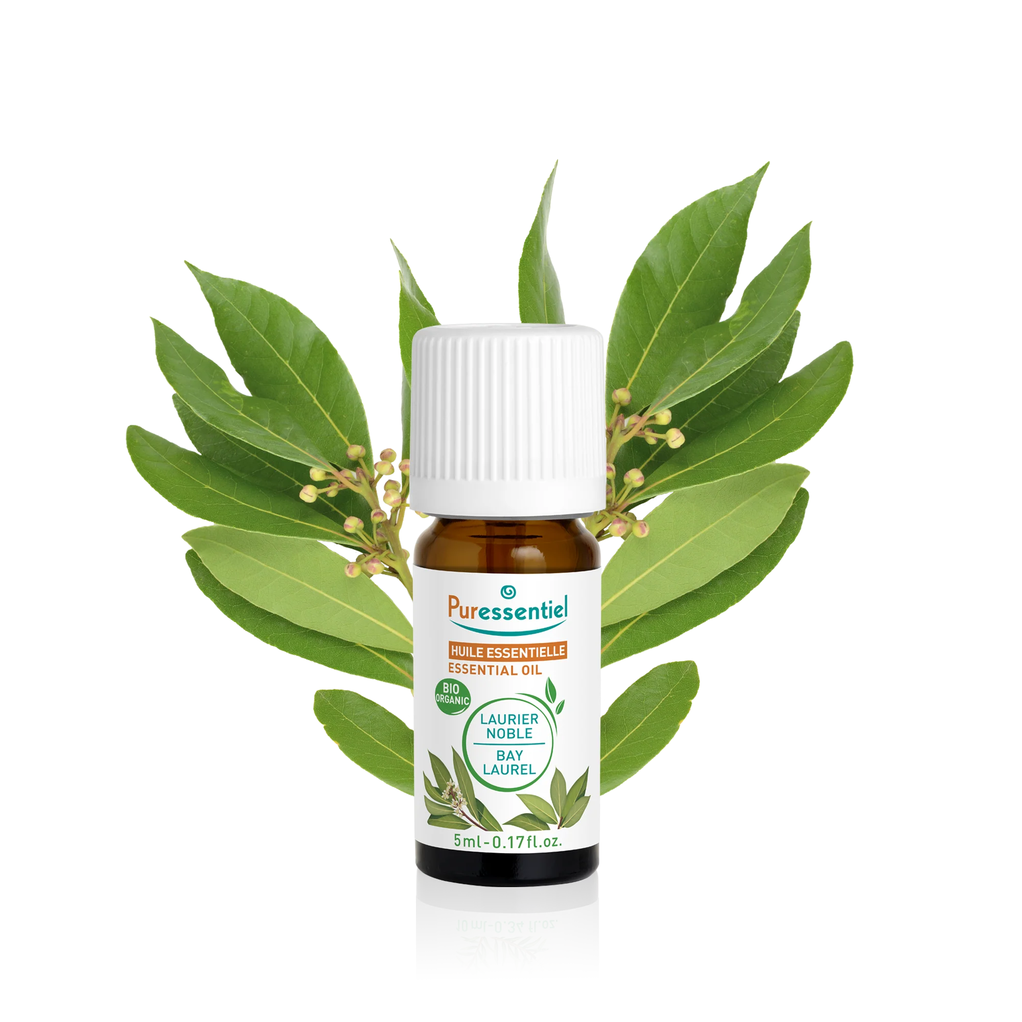 Huile Essentielle Laurier Noble BIO