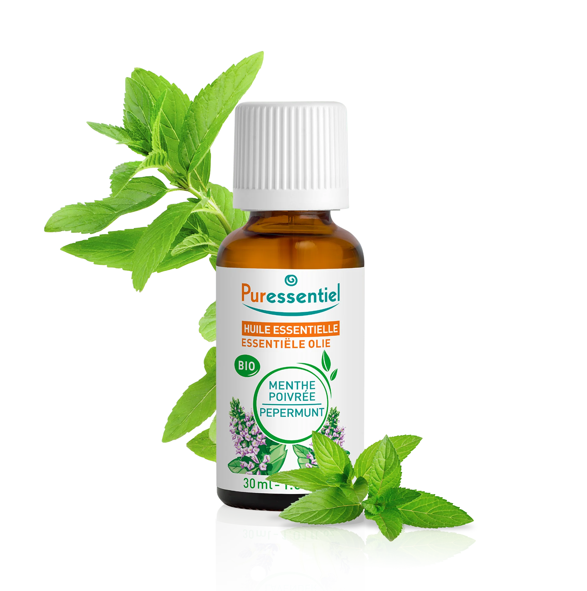 Huile Essentielle Menthe Poivrée BIO - Image 2