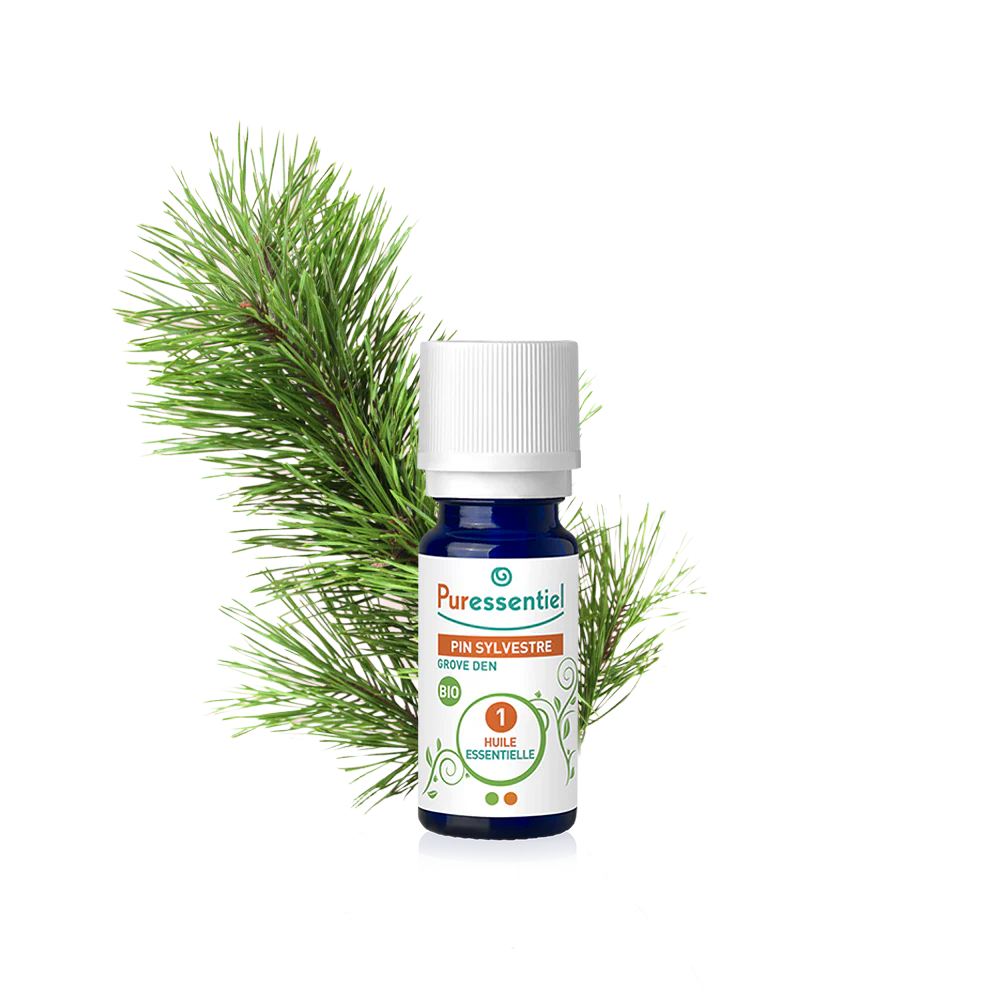Huile Essentielle Pin Sylvestre BIO