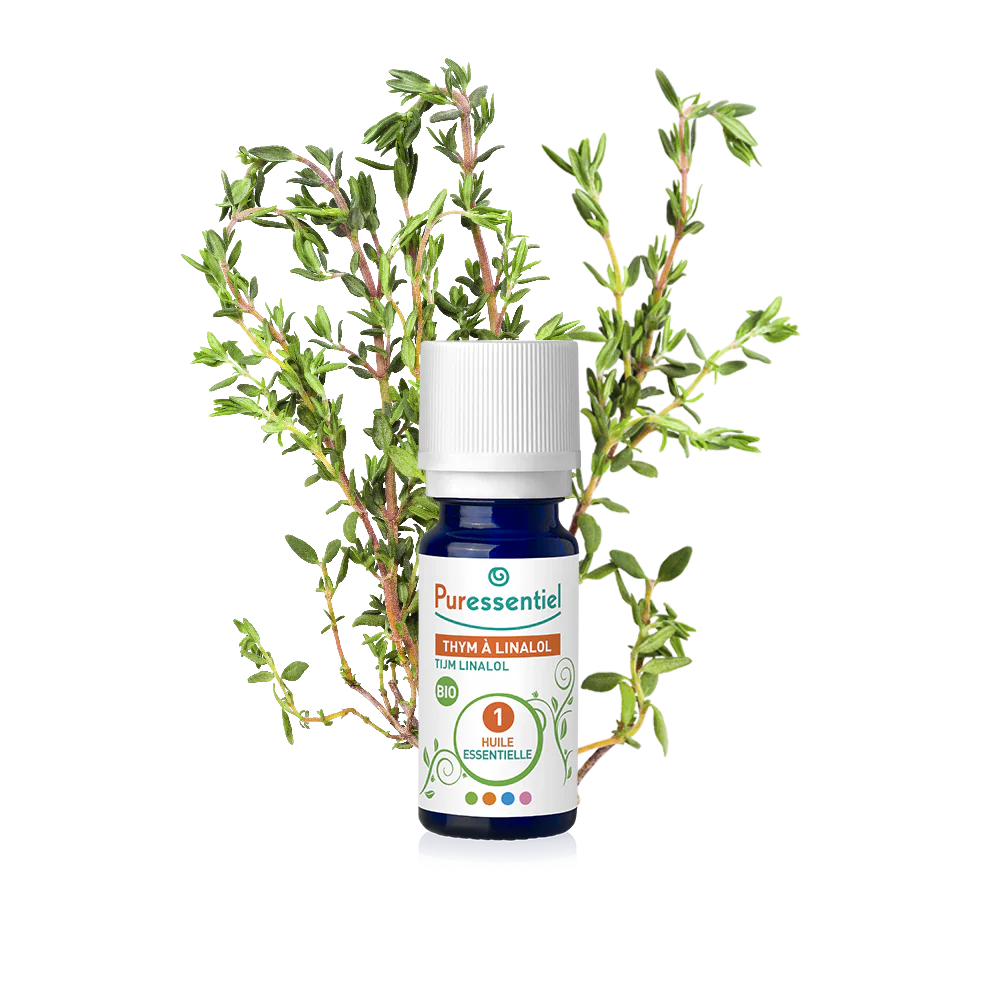 Huile Essentielle Thym à Linalol BIO